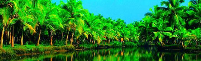 Chaandhni Lake View Hotel Alappuzha Zewnętrze zdjęcie